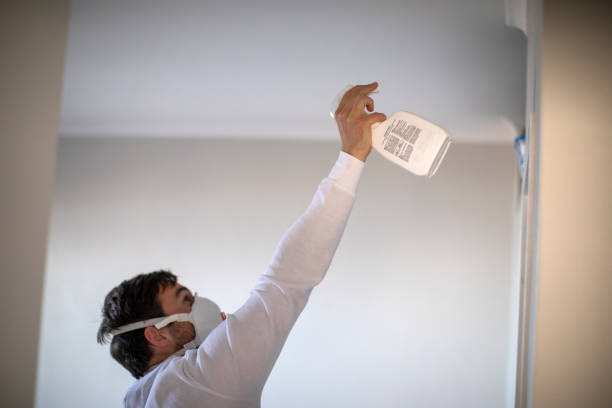 Best Professional Mold Removal  in Fordoche, LA