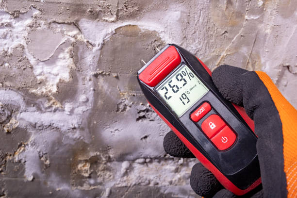 Best Mold Damage Repair  in Fordoche, LA
