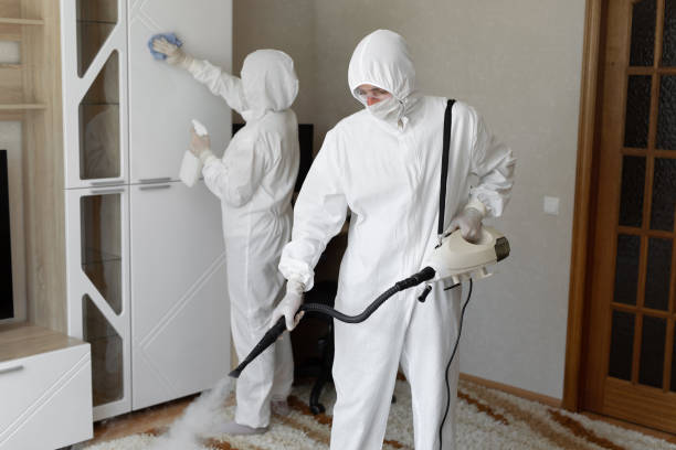 Best Mold Damage Repair  in Fordoche, LA