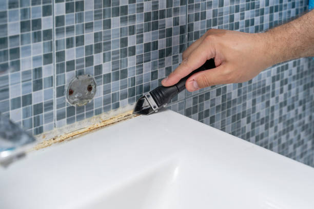 Best Office Mold Removal Services  in Fordoche, LA